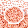 Baking Paint Glass Seed Beads SEED-T007-15G-1
