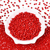 Baking Paint Glass Seed Beads SEED-N007-30I-2