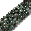 Natural Fuchsite Beads Strands G-K285-40C-1-1