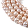 Natural Cultured Freshwater Pearl Beads Strands PEAR-L034-18B-3