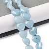 Natural Aquamarine Beads Strands G-I372-A09-02-2