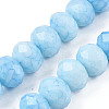 Opaque Baking Painted Glass Beads Strands EGLA-N006-009C-A17-1