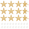 BENECREAT 6 Pairs Rack Plating Brass Starfish Stud Earrings KK-BC0013-51-1