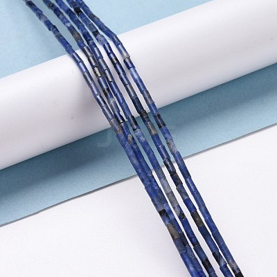 Natural Sodalite Beads Strands G-M389-11-1