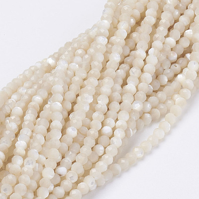 Natural Shell Beads Strands G-E354-03-1