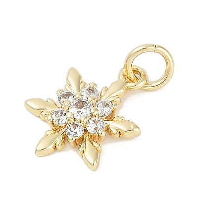 Rack Plating Brass Micro Pave Cubic Zirconia Pendants LS-KK-H509-12G-02-1