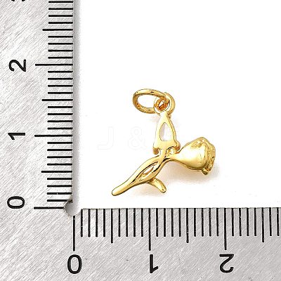Brass Micro Pave Cubic Zirconia Pendants KK-Z102-02G-02-1