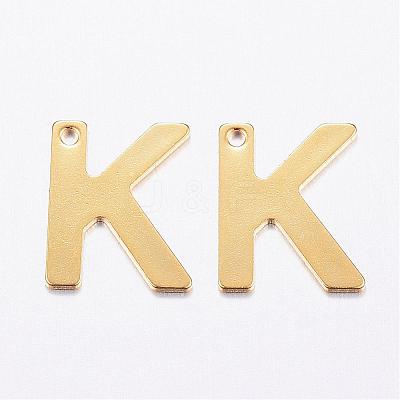 304 Stainless Steel Charms STAS-P141-K-1