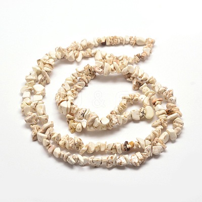Magnesite Chip Bead Strands G-M205-75-1
