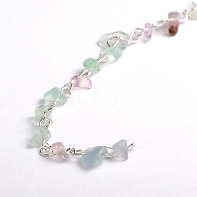 Handmade Natural Fluorite Chips Beads Chains for Necklaces Bracelets Making AJEW-JB00043-01-1