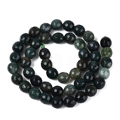 Natural Moss Agate Beads Strands G-Q606-42A-01-1