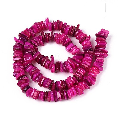 Natural Freshwater Shell Beads Strands SHEL-T020-40A-1