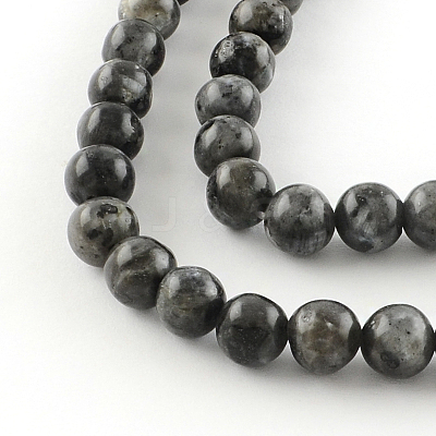 Natural Larvikite Round Beads Strands X-G-R342-6mm-09-1