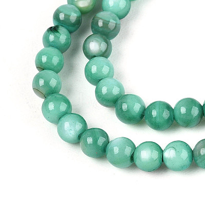 Natural Freshwater Shell Beads Strands BSHE-T009A-01J-1
