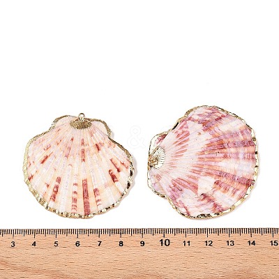 Natural Scallop Shell Big Pendants SSHEL-N038-12-1