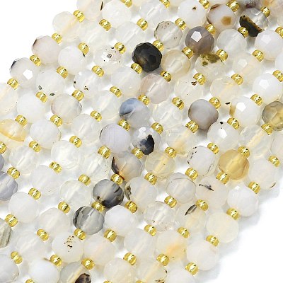 Natural Dendritic Agate Beads Strands G-K389-E61-01-1