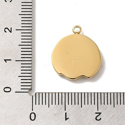 304 Stainless Steel Pendants STAS-B074-08G-12-1