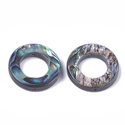 Natural Abalone Shell/Paua Shell Bead Frames X-SSHEL-T008-17-1