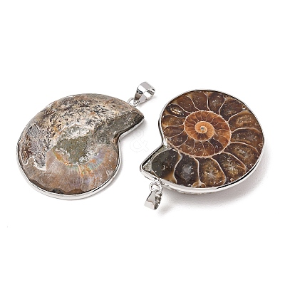 Snail Fossil Pendants G-D051-1A-1