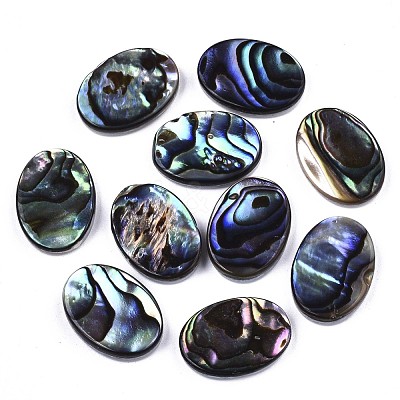 Natural Abalone Shell/Paua Shell Cabochons SSHEL-N034-73A-01-1