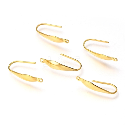 316 Stainless Steel Earring Hooks STAS-Z034-10G-1