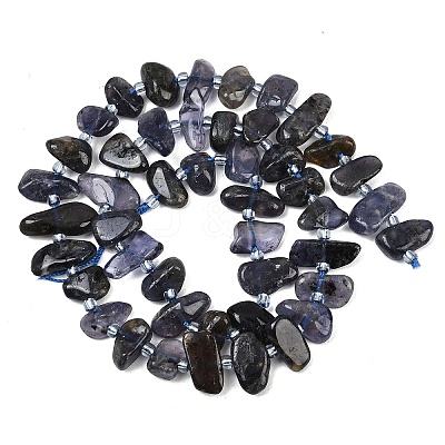 Natural Iolite Beads Strands G-L657-E04-01-1