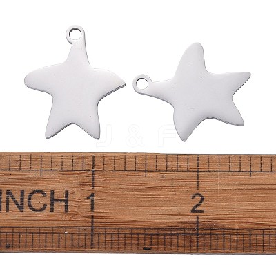 Tarnish Resistant 304 Stainless Steel Pendants STAS-I140-13S-1