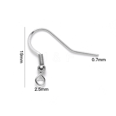 Tarnish Resistant 304 Stainless Steel Earring Hooks X-STAS-S111-007-1