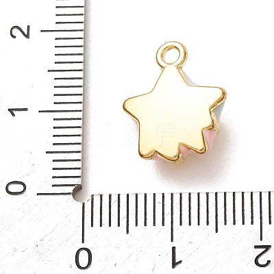 Brass Enamel Pendants KK-CBA260B-13G-1