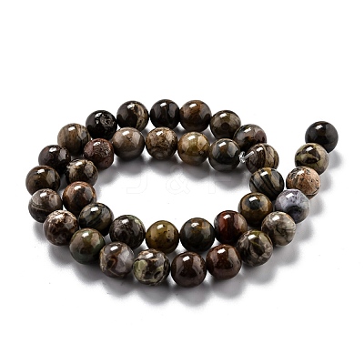 Round Natural Ocean Agate/Ocean Jasper Beads Strands G-O199-02C-1