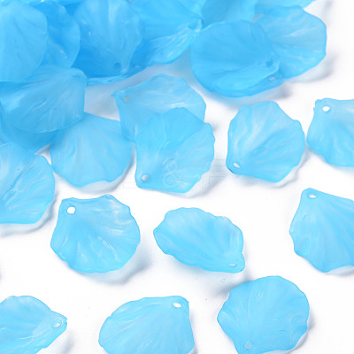 Transparent Frosted Acrylic Pendants MACR-S371-01A-755-1