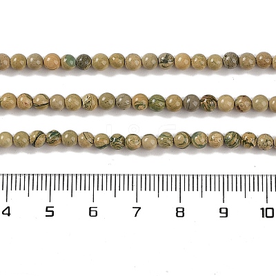 Natural Verdite Stone Beads Strands G-P530-B07-01-1