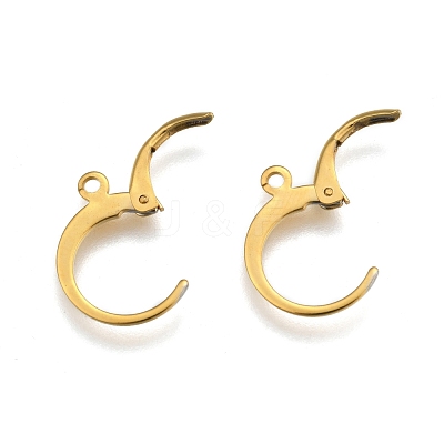 304 Stainless Steel Leverback Earring Findings STAS-P210-30G-1