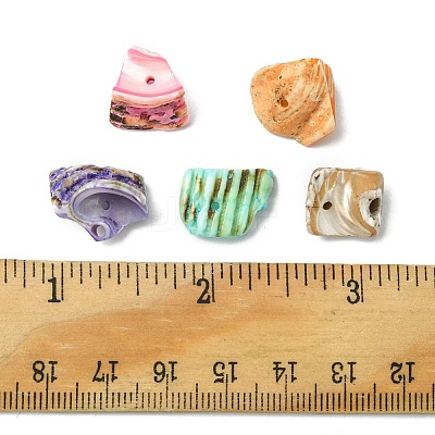 125G 5 Colors Natural Shell Bead Strands BSHE-FS0001-06A-1