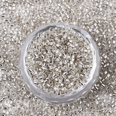 Glass Seed Beads X-SEED-S042-04B-06-1
