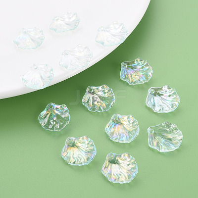 Transparent Acrylic Pendants MACR-S373-73-C05-1