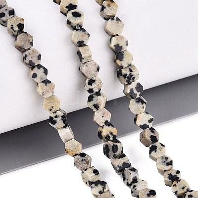 Natural Dalmatian Jasper Beads Strands GG-N002-02A-02-1