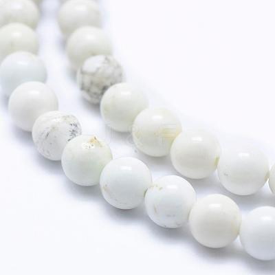 Natural Magnesite Beads Strands TURQ-G148-09-6mm-1