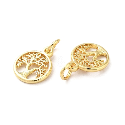 Brass Charms KK-Q403-01G-1