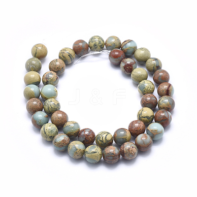 Natural Aqua Terra Jasper Beads Strands G-N0128-48-10mm-1