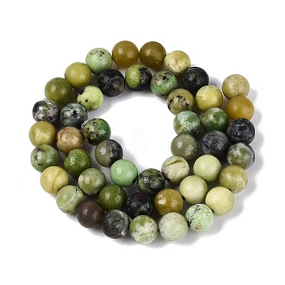 Natural Serpentine Beads Strands G-Q616-07C-1