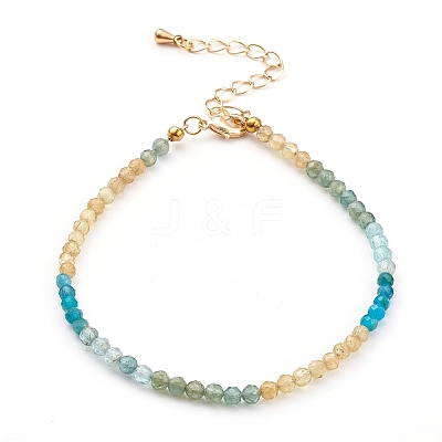 Natural Apatite Beaded Bracelets BJEW-JB05936-1