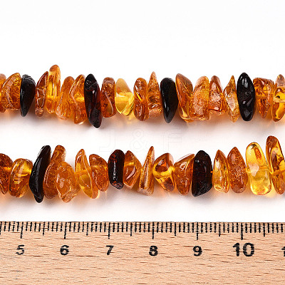 Natural Amber Beads Strands G-T138-235E-1