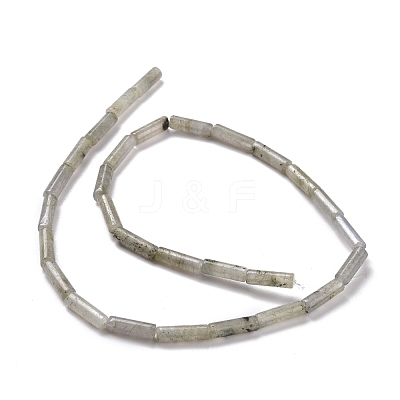 Natural Labradorite Beads Strands G-D464-08-1