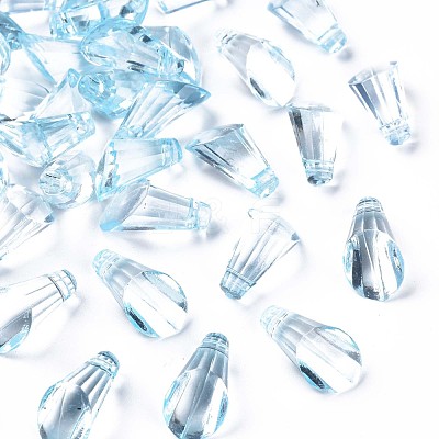 Transparent Acrylic Pendants MACR-S373-111-B-1