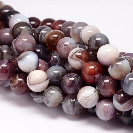 Natural Botswana Agate Beads Strands G-P132-05-10mm-1