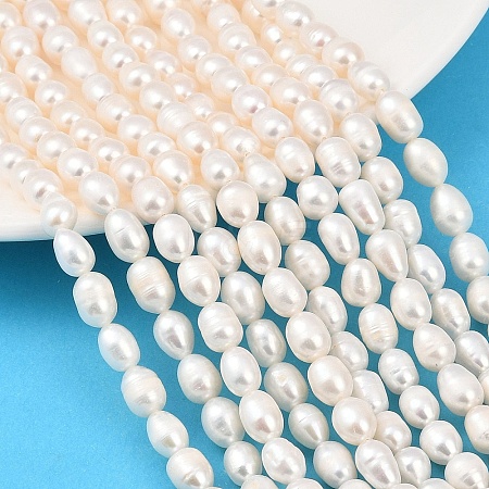Natural Cultured Freshwater Pearl Beads Strands PEAR-F020-21-1