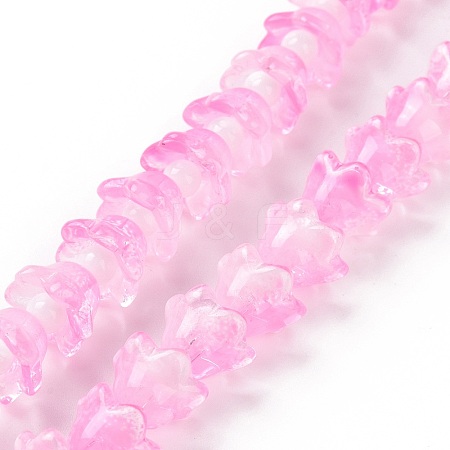 Transparent Glass Beads Strands LAMP-H061-01C-02-1