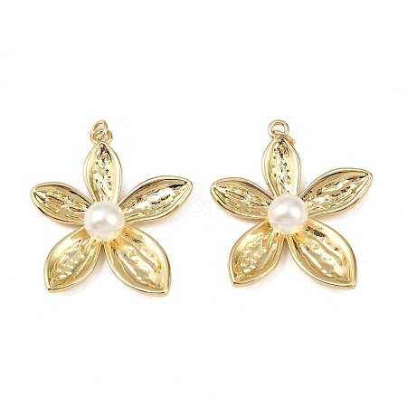 Brass Pendants KK-L255-23G-02-1