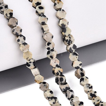 Natural Dalmatian Jasper Beads Strands GG-N002-02A-02-1